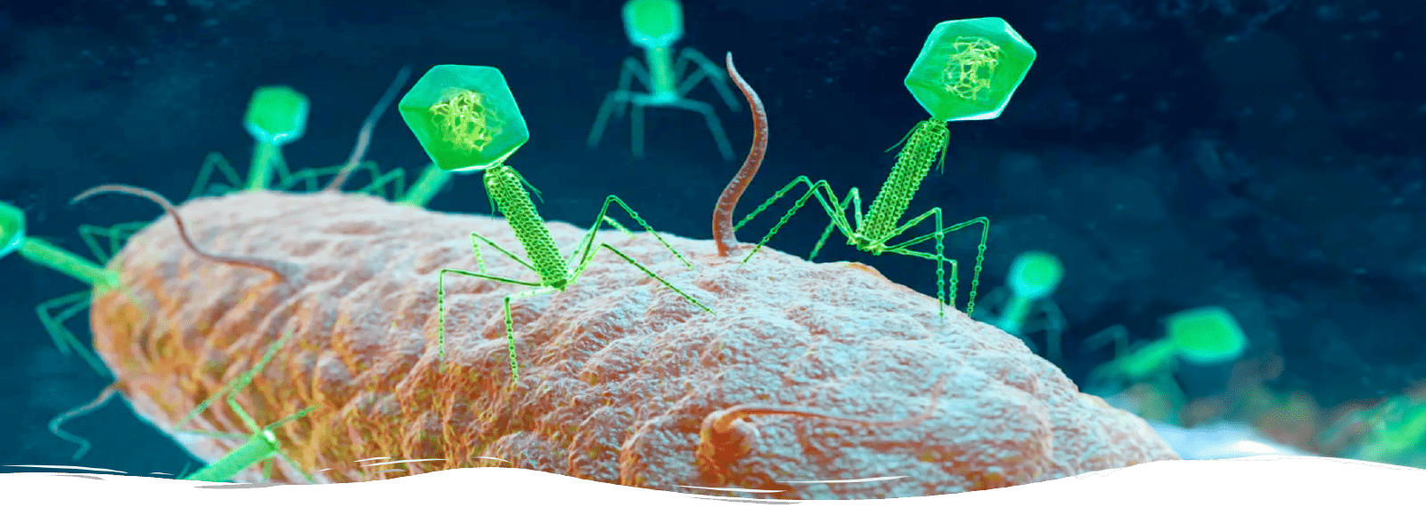Vaster Life Sciences Innovation