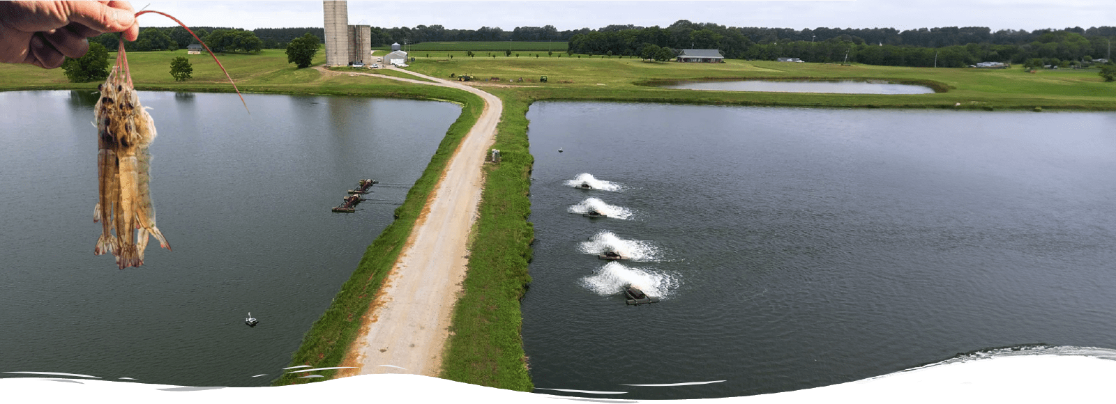 Vaster Life Sciences Aquaculture Banner