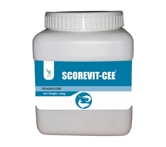 SCOREVIT-CEE