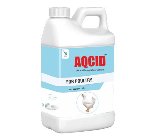 Aqcid - Liquid Acidifier & Water Sanitizer for Poultry