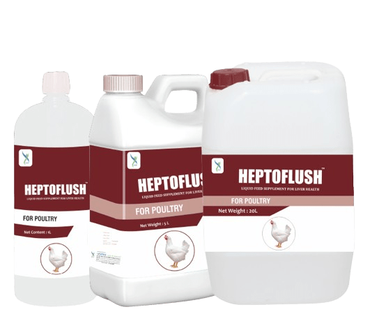 Heptoflush – Best Liver Tonic for Poultry