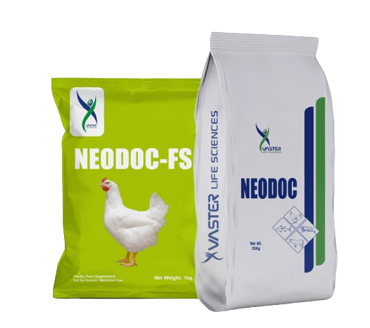 Neodoc FS – Doxycycline & Neomycin Sulphate for Poultry