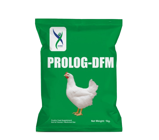 Prolog DFM - Probiotics Feed Additive for Poultry