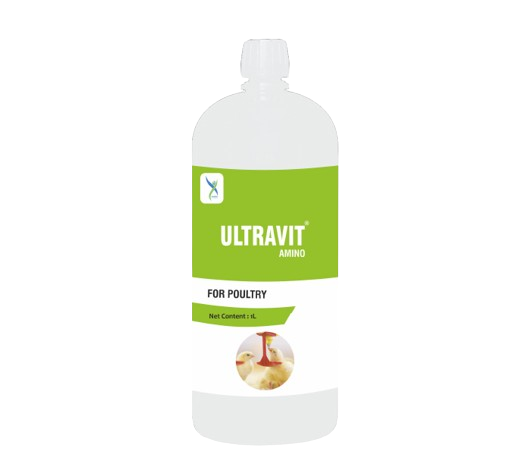Ultravit Amino – AD3EC Vitamin Liquid for Poultry Supplement